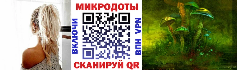 Галлюциногенные грибы Psilocybe  Плёс 